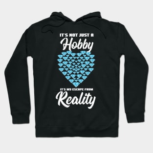 It's Not Just A Hobby It's My Escape From Reality Hoodie